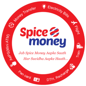 spice-money-service