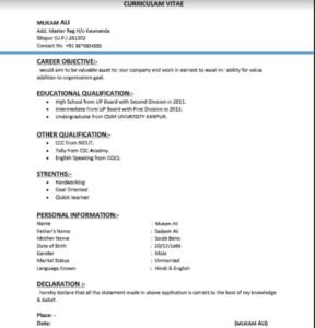Resume/ CV Format Online Download